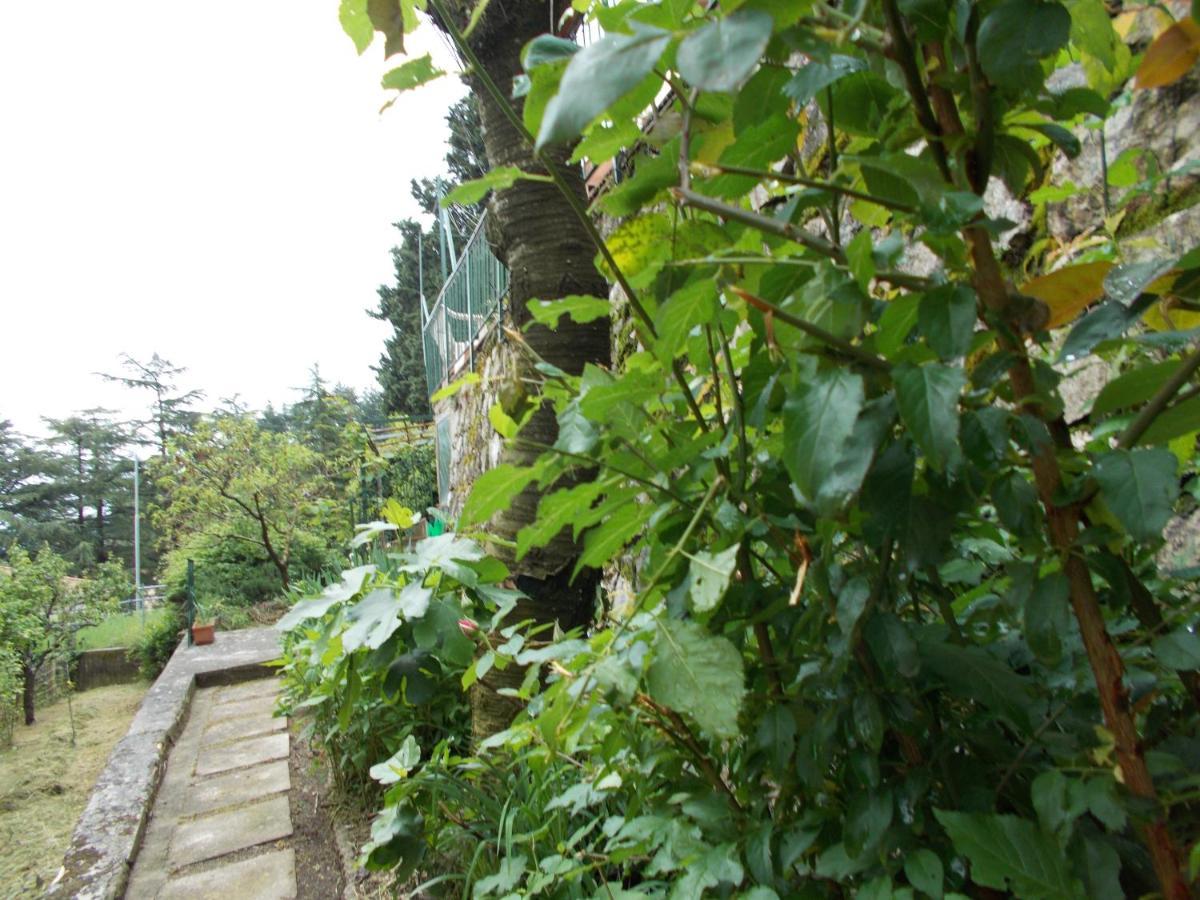La Vecchia Castelnuovo di Val di Cecina