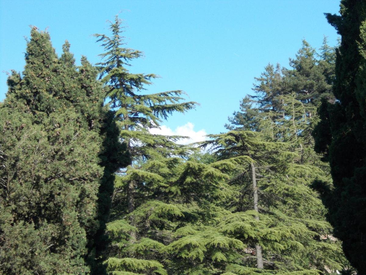 La Vecchia Castelnuovo di Val di Cecina