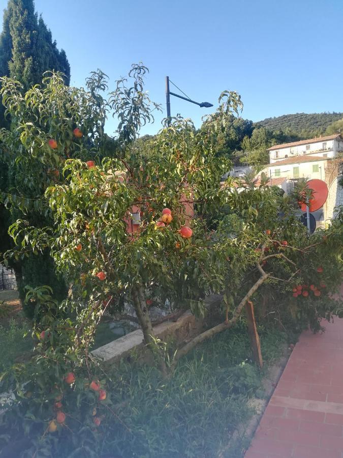 La Vecchia Castelnuovo di Val di Cecina